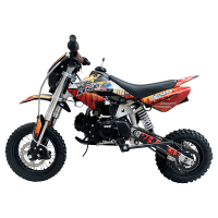 Детский мотоцикл BSE EVO 110 (12/10,14/12) мех./автомат/полуавтомат КПП)