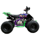 Квадроцикл BSE XT-1 125
