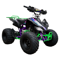 Квадроцикл BSE XT-1 125