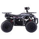 Квадроцикл BSE XT-1U 125