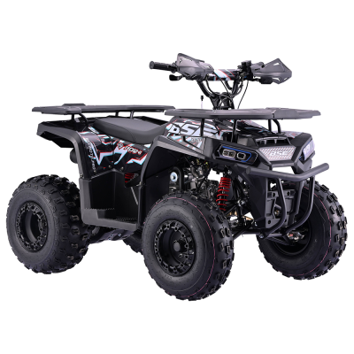 Квадроцикл BSE XT-1U 125