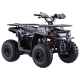 Квадроцикл BSE XT-1U 125