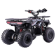 Квадроцикл BSE XT-1U 125