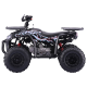 Квадроцикл BSE XT-1U 125