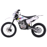 Мотоцикл BSE Z2 L 250 (19/16, 21/18) мех. КПП)