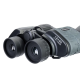 Бинокль Levenhuk Discovery Flint 12x50