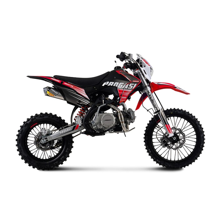 Питбайк PROGASI Smart Mini 125 (14/12) красный