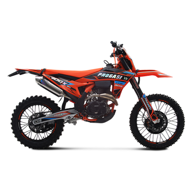 Мотоцикл PROGASI Endurance 300X EFI
