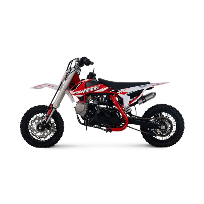 Детский питбайк PROGASI Kids Power 110 (10/10)