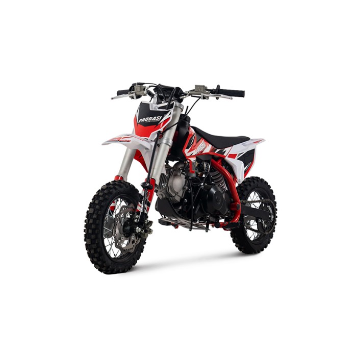 Детский питбайк PROGASI Kids Power 110 (10/10)