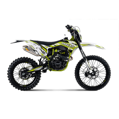 Мотоцикл PROGASI Super Max 250, зеленый