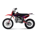 Питбайк TMBK PITSTER SP1 150 Biggy, Red Purple
