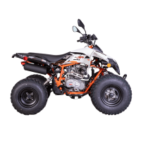 Квадрицикл KAYO A200 (белый пластик 2024 г.) (ПТС)