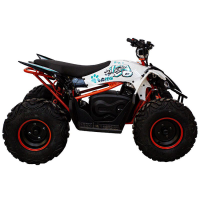 Квадроцикл KAYO eA110 (2024 г.)