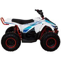 Квадроцикл KAYO еA70 (2024 г.) Квадроцикл KAYO еA70 (2024 г.)